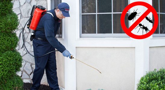Üsküdar Böcek ve Haşere İlaçlama böcek ilaçlama ve haşere kontrolü — ilaclama-tr.com